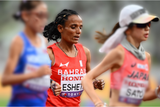 Shitaye ESHETE