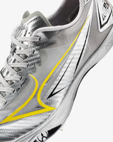 #color_Silver