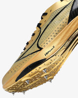 #color_Gold